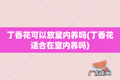丁香花适合在室内养吗 丁香花可以放室内养吗