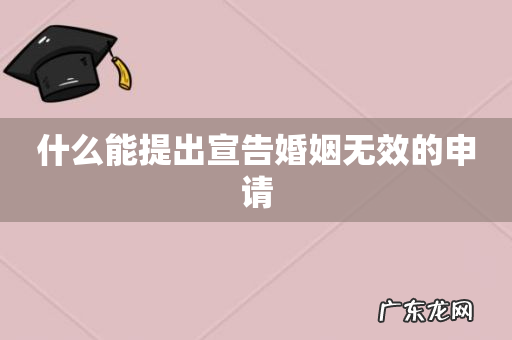 什么能提出宣告婚姻无效的申请