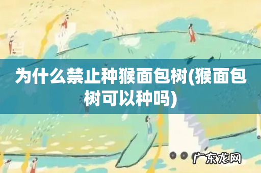 猴面包树可以种吗 为什么禁止种猴面包树