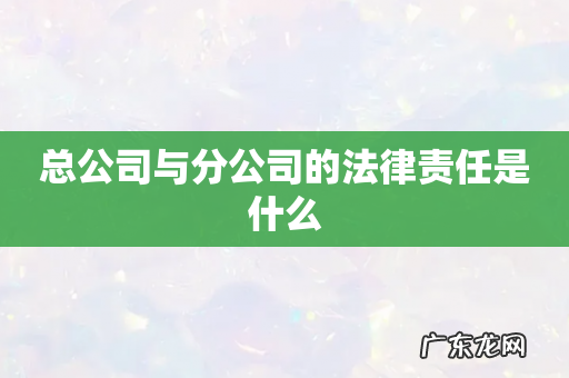 总公司与分公司的法律责任是什么