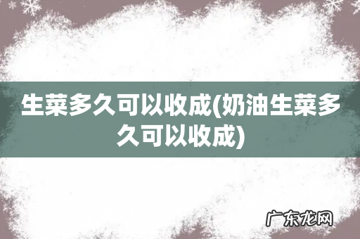 奶油生菜多久可以收成 生菜多久可以收成