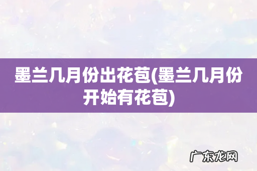墨兰几月份开始有花苞 墨兰几月份出花苞