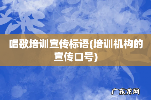 培训机构的宣传口号 唱歌培训宣传标语