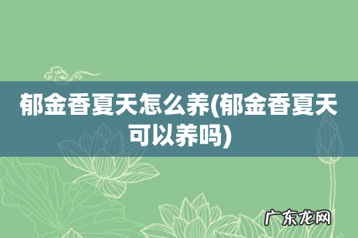 郁金香夏天可以养吗 郁金香夏天怎么养