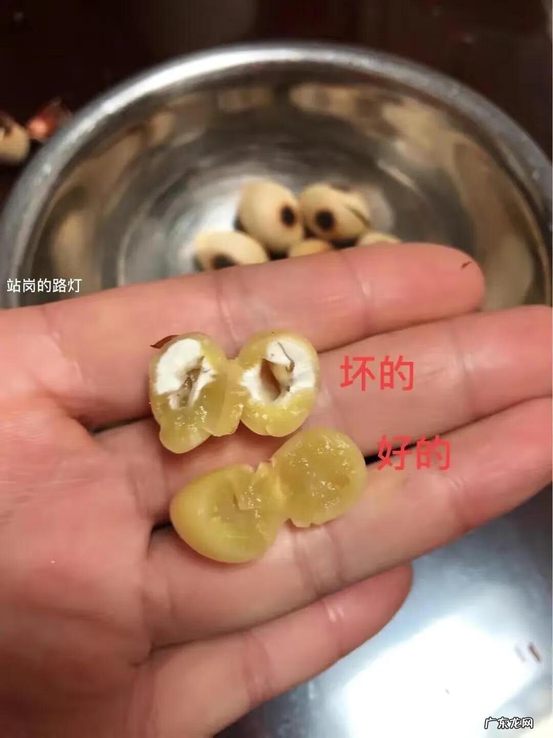 白果的功效与作用害处 白果的功效与作用禁忌