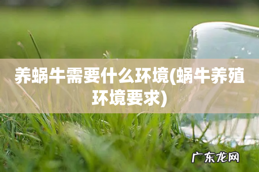 蜗牛养殖环境要求 养蜗牛需要什么环境