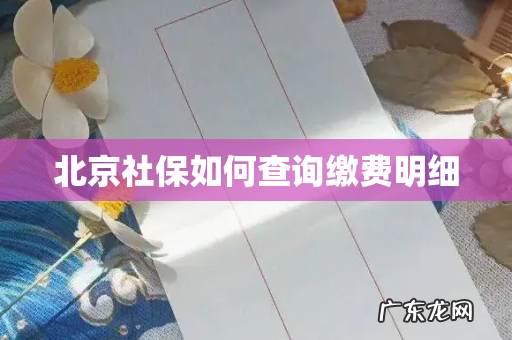 北京社保如何查询缴费明细