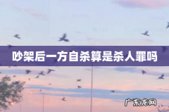 吵架后一方自杀算是杀人罪吗