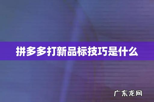 拼多多打新品标技巧是什么