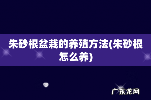 朱砂根怎么养 朱砂根盆栽的养殖方法