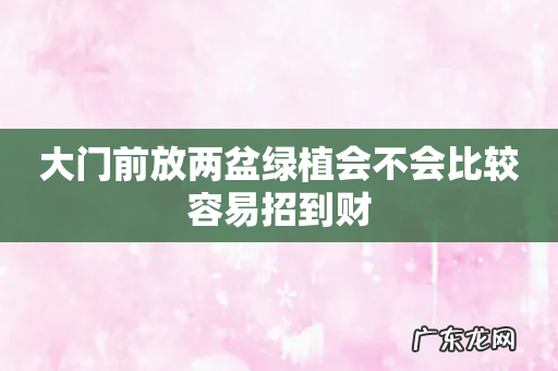 大门前放两盆绿植会不会比较容易招到财