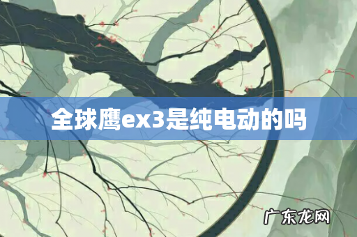 全球鹰ex3是纯电动的吗