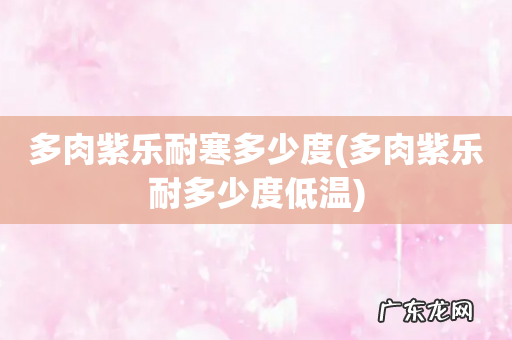 多肉紫乐耐多少度低温 多肉紫乐耐寒多少度