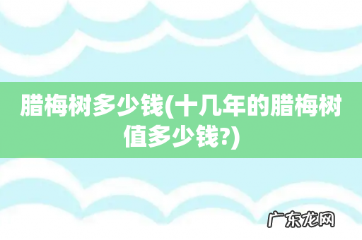 十几年的腊梅树值多少钱? 腊梅树多少钱