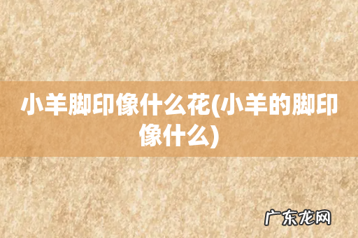 小羊的脚印像什么 小羊脚印像什么花