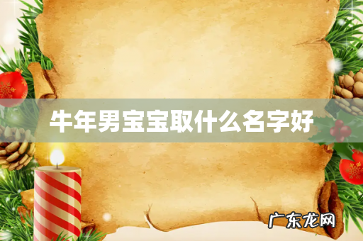 牛年男宝宝取什么名字好