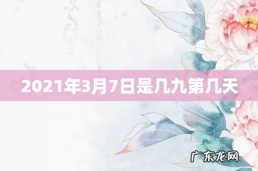 2021年3月7日是几九第几天