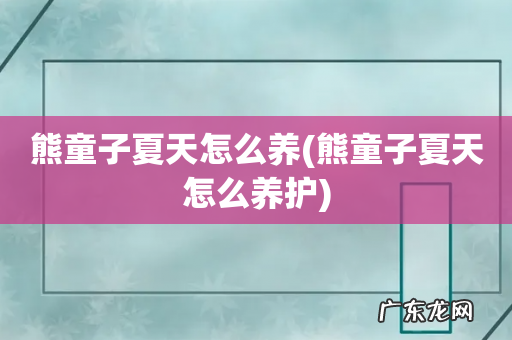 熊童子夏天怎么养护 熊童子夏天怎么养