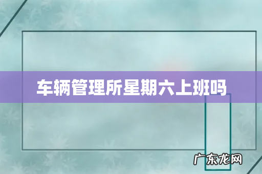 车辆管理所星期六上班吗