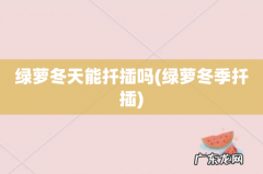 绿萝冬季扦插 绿萝冬天能扦插吗