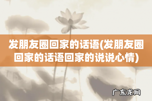 发朋友圈回家的话语回家的说说心情 发朋友圈回家的话语