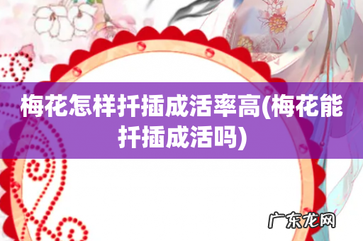 梅花能扦插成活吗 梅花怎样扦插成活率高