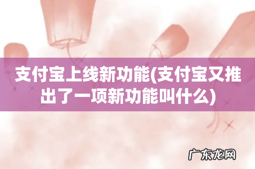支付宝又推出了一项新功能叫什么 支付宝上线新功能