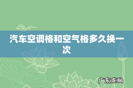 汽车空调格和空气格多久换一次