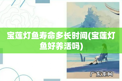 宝莲灯鱼好养活吗 宝莲灯鱼寿命多长时间