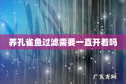 养孔雀鱼过滤需要一直开着吗