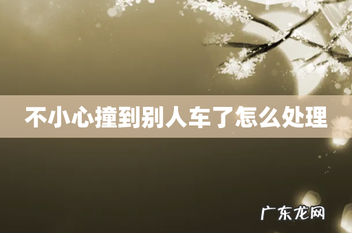 不小心撞到别人车了怎么处理