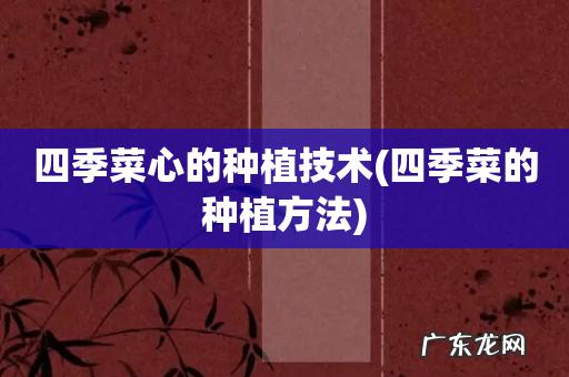 四季菜的种植方法 四季菜心的种植技术