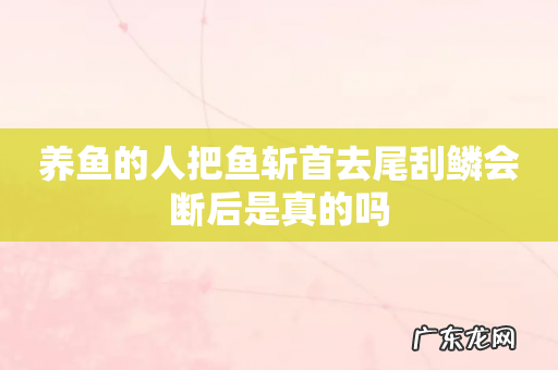 养鱼的人把鱼斩首去尾刮鳞会断后是真的吗
