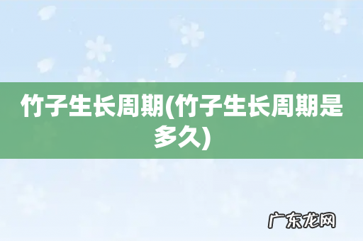竹子生长周期是多久 竹子生长周期