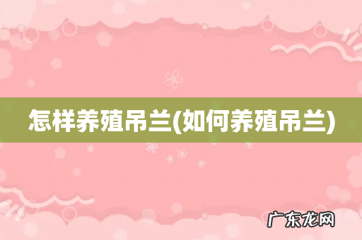 如何养殖吊兰 怎样养殖吊兰