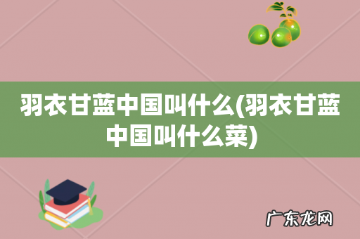 羽衣甘蓝中国叫什么菜 羽衣甘蓝中国叫什么