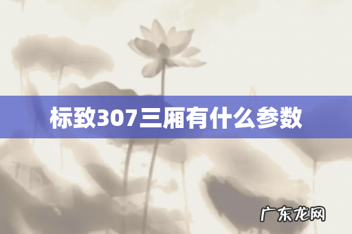 标致307三厢有什么参数