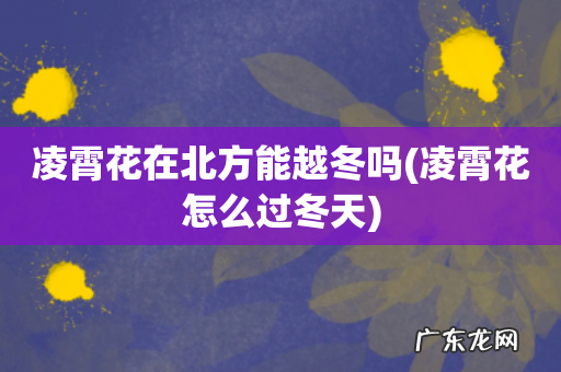 凌霄花怎么过冬天 凌霄花在北方能越冬吗