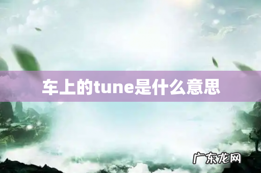 车上的tune是什么意思