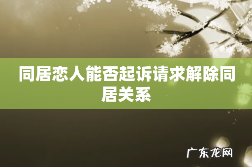 同居恋人能否起诉请求解除同居关系