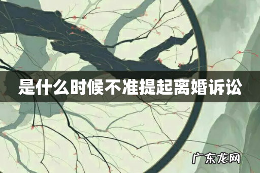 是什么时候不准提起离婚诉讼