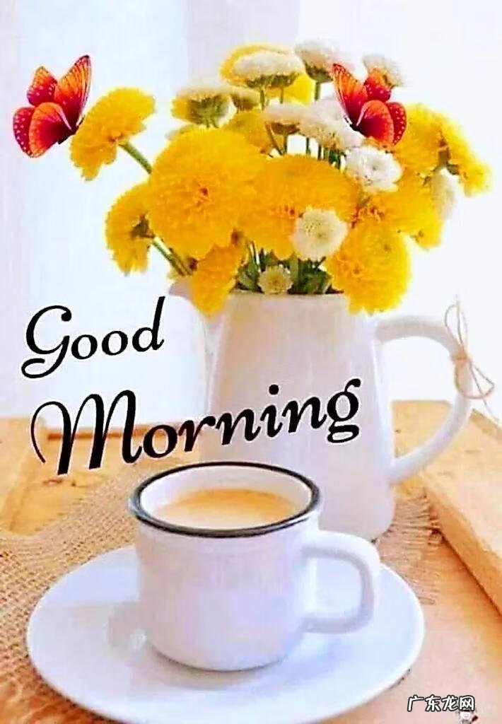 早上好的英语句子 早上好英语翻译怎么说