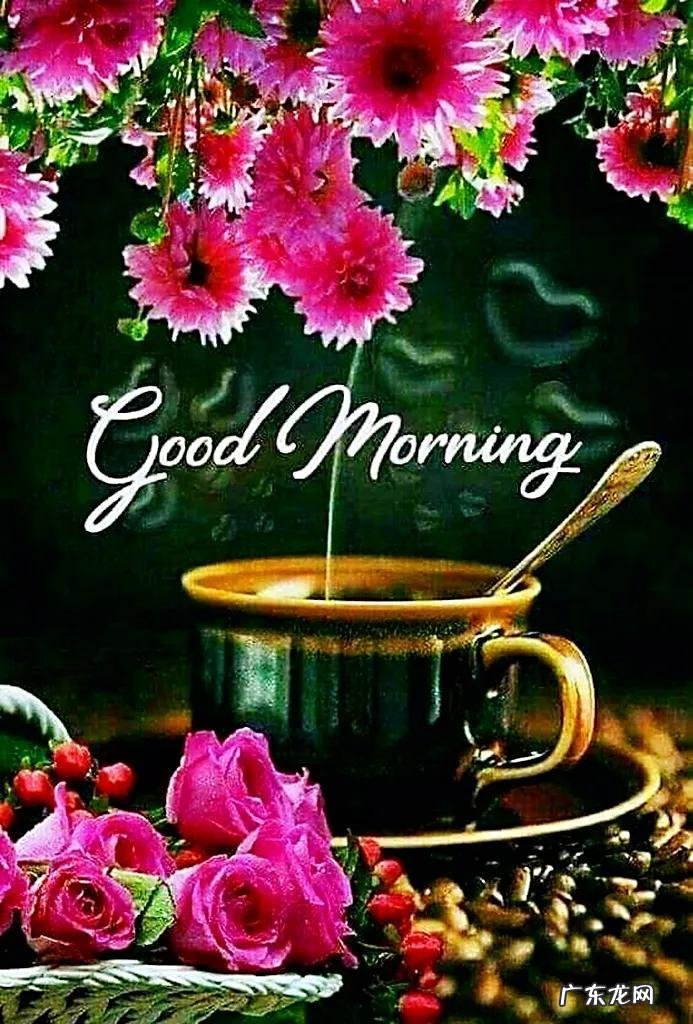 早上好的英语句子 早上好英语翻译怎么说