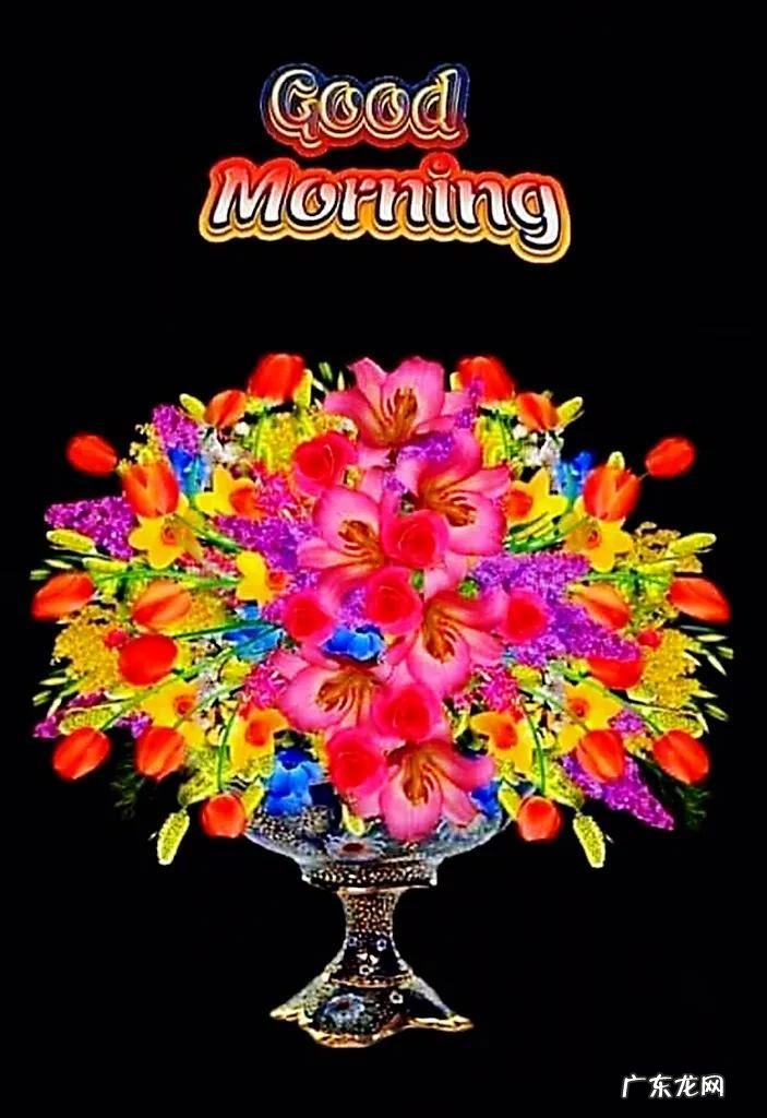 早上好的英语句子 早上好英语翻译怎么说