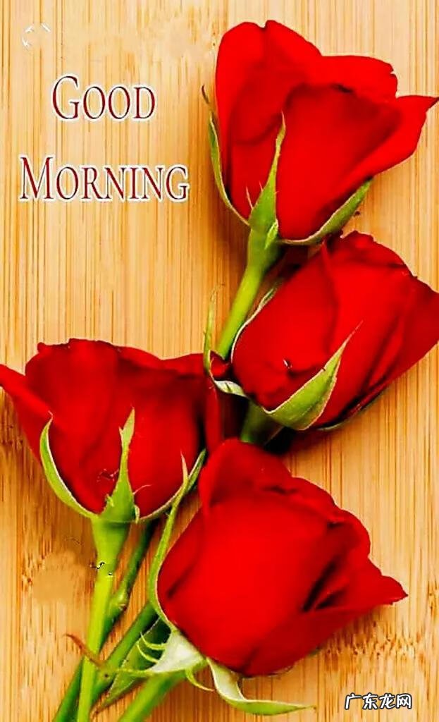 早上好的英语句子 早上好英语翻译怎么说