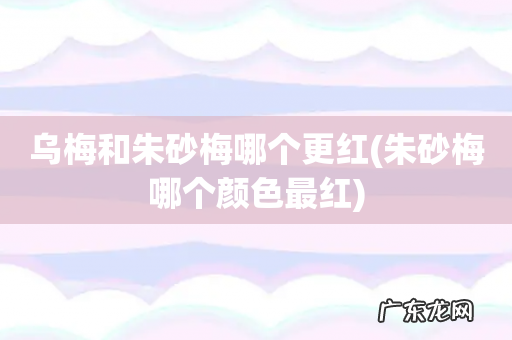 朱砂梅哪个颜色最红 乌梅和朱砂梅哪个更红