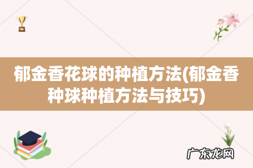 郁金香种球种植方法与技巧 郁金香花球的种植方法