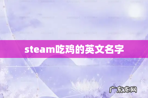 steam吃鸡的英文名字