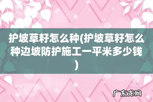 护坡草籽怎么种边坡防护施工一平米多少钱 护坡草籽怎么种