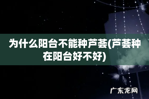 芦荟种在阳台好不好 为什么阳台不能种芦荟